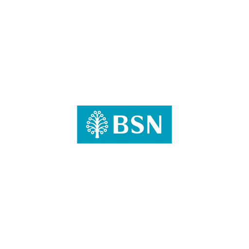 Logo BSN